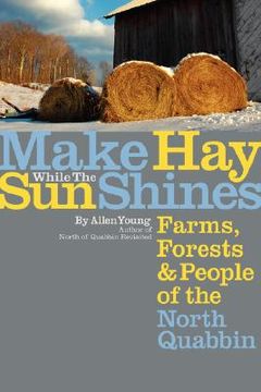 portada make hay while the sun shines (en Inglés)