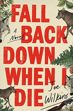 portada Fall Back Down When i die (en Inglés)