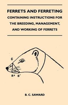 portada ferrets and ferreting - containing instructions for the breeding, management, and working of ferrets (en Inglés)