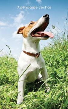 portada Agenda de Senhas: Agenda para endereços eletrônicos e senhas: Capa Jack Russell Terrier - Português (Brasil) (en Portugués)