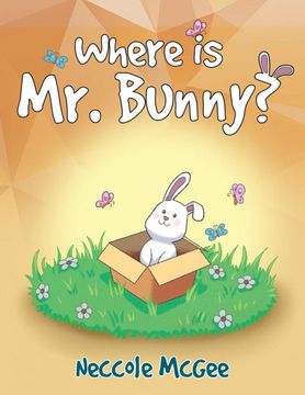 portada Where is mr. Bunny? 