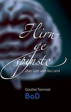 portada Hirngespinste: Über Gott und das Land (en Alemán)