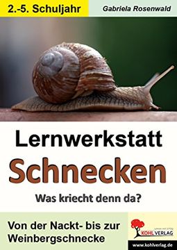 portada Lernwerkstatt Schnecken: Was kriecht denn da? Mit Lösungen (in German)