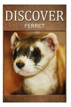portada Ferret - Discover: Early reader's wildlife photography book