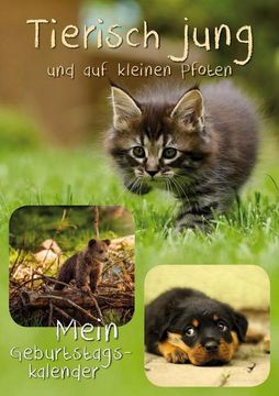 portada Geburtstagskalender Tierisch Jung: Oder auf Kleinen Pfoten/Tierbabys (in German)