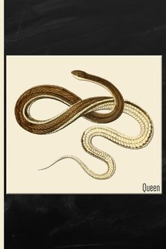 portada Snake: Queen Watercolor: 6x9 College Ruled Notebook (en Inglés)