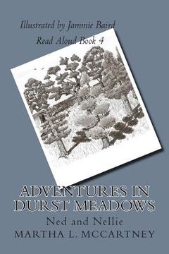 portada Adventures In Durst Meadows: Life with the squirrels (in English)