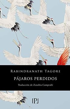 portada Pájaros Perdidos (Sentimientos): 5 (in Spanish)