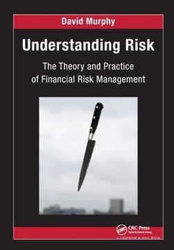 portada Understanding Risk: The Theory and Practice of Financial Risk Management (en Inglés)