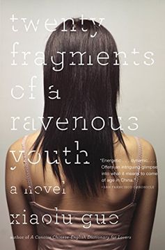 portada Twenty Fragments of a Ravenous Youth (en Inglés)