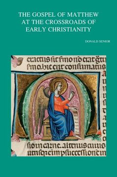 The Gospel of Matthew at the Crossroads of Early Christianity: 243 (Bibliotheca Ephemeridum Theologicarum Lovaniensium, 243) (en Inglés)