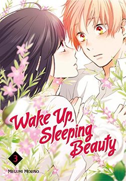 portada Wake up, Sleeping Beauty 3 (in English)