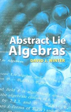 portada abstract lie algebras (en Inglés)