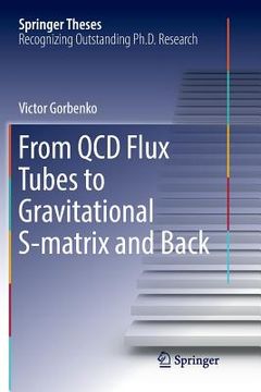 portada From QCD Flux Tubes to Gravitational S-Matrix and Back (en Inglés)