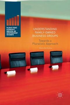 portada Understanding Family-Owned Business Groups: Towards a Pluralistic Approach (en Inglés)