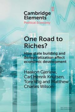portada One Road to Riches? How State Building and Democratization Affect Economic Development (Elements in Political Economy) (en Inglés)