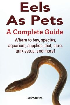 portada Eels As Pets: Where to buy, species, aquarium, supplies, diet, care, tank setup, and more! A Complete Guide!