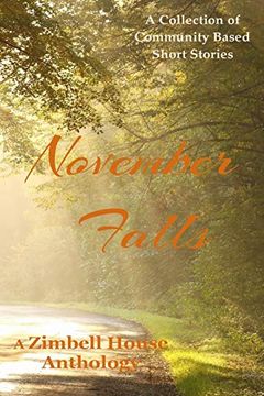 portada November Falls: A Collection of Community Based Short Stories (en Inglés)
