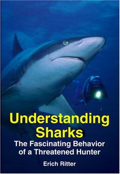 portada Understanding Sharks (en Inglés)