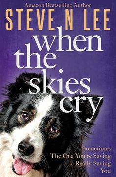 portada When The Skies Cry 