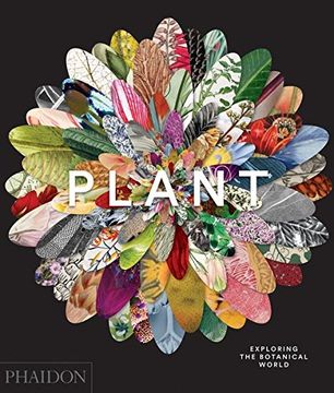 portada Plant: Exploring the Botanical World (en Inglés)