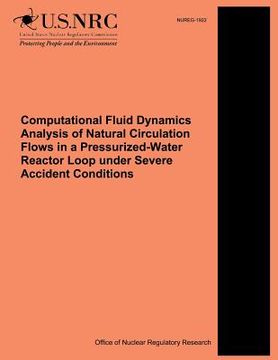 portada Computational Fluid Dynamics Analysis of Natural Circulation Flows in a Pressurized-Water Reactor Loop under Severe Accident Conditions (en Inglés)