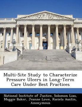portada multi-site study to characterize pressure ulcers in long-term care under best practices (en Inglés)