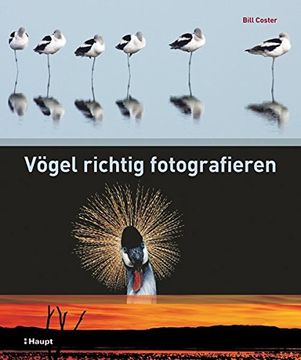 portada Vögel Richtig Fotografieren (en Alemán)