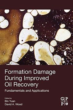 portada Formation Damage During Improved oil Recovery: Fundamentals and Applications 