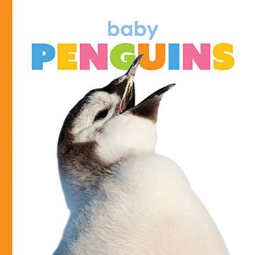 portada Baby Penguins (Starting Out) (en Inglés)