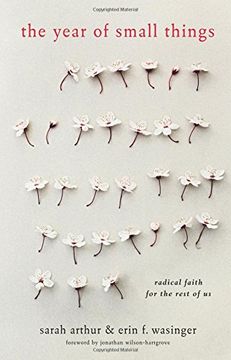 portada The Year of Small Things: Radical Faith for the Rest of Us (en Inglés)