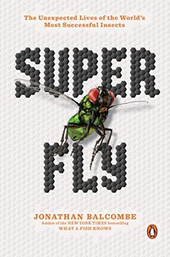 portada Super Fly: The Unexpected Lives of the World'S Most Successful Insects 
