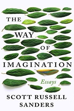portada The way of Imagination: Essays (en Inglés)