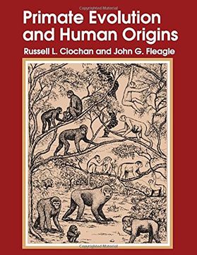 portada Primate Evolution and Human Origins 