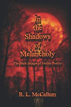 portada In the Shadows of Melancholy: The Dark Images of Gothic Poetry 