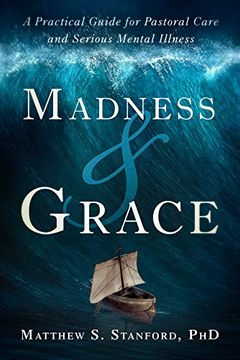 portada Madness and Grace: A Practical Guide for Pastoral Care and Serious Mental Illness (Spirituality and Mental Health) (in English)