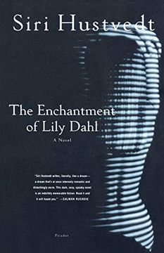 portada The Enchantment of Lily Dahl 