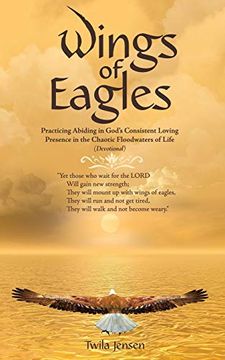 portada Wings of Eagles: Practicing Abiding in God's Consistent Loving Presence in the Chaotic Floodwaters of Life (Devotional) (en Inglés)