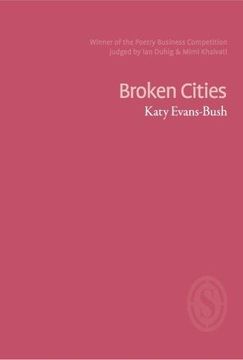 portada Broken Cities (en Inglés)