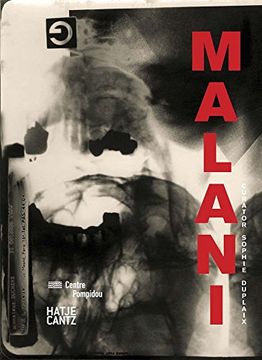 portada Nalini Malani: Malani: (en Inglés)