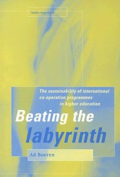 portada Beating the Labyrinth the Sustainability of International Cooperation Programmes in Higher Education 2 Nuffic Paperback