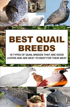 portada Best Quail Breeds: 10 Types Of Quail Breeds That Are Good Layers And Are Best To Keep For Their Meat (in English)