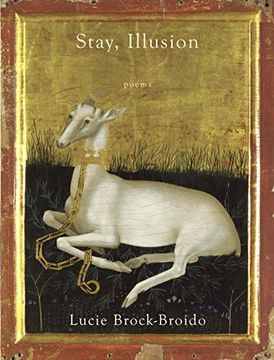 portada Stay, Illusion: Poems (en Inglés)