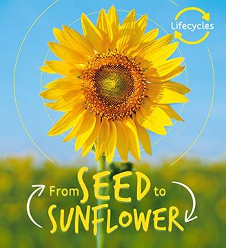 portada Lifecycles: Seed to Sunflower (en Inglés)