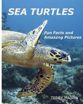 portada Sea Turtles: : Fun Facts and Amazing Pictures (en Inglés)