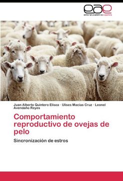 portada Comportamiento reproductivo de ovejas de pelo: Sincronización de estros