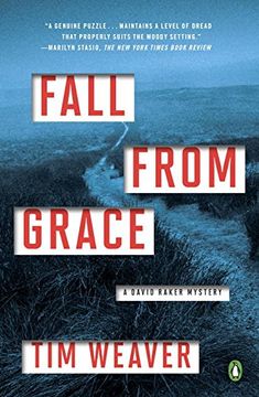 portada Fall from Grace: A David Raker Mystery