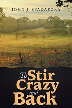 portada To Stir Crazy and Back (in English)