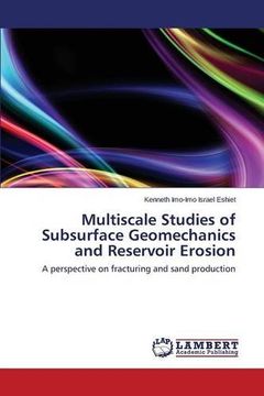 portada Multiscale Studies of Subsurface Geomechanics and Reservoir Erosion