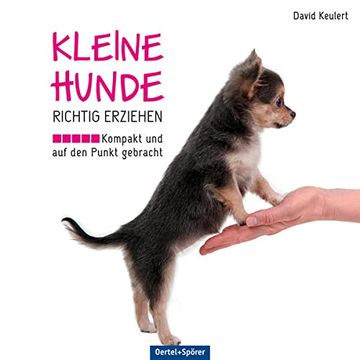 portada Kleine Hunde Richtig Erziehen: Kompakt und auf den Punkt Gebracht (en Alemán)